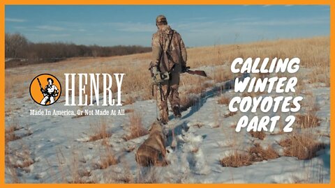 CALLING COYOTES DURING BREEDING SEASON USING HENRY LONG RANGER 243 AND 223 #HUNTWITHAHENRY
