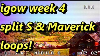 Steadfast RC igow week4 Gemfan split s & Maverick loops