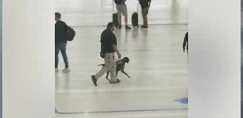 This TSA Agent is Unfit to Handle a Dog