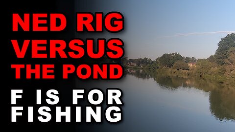 Ned Rig Versus The Pond