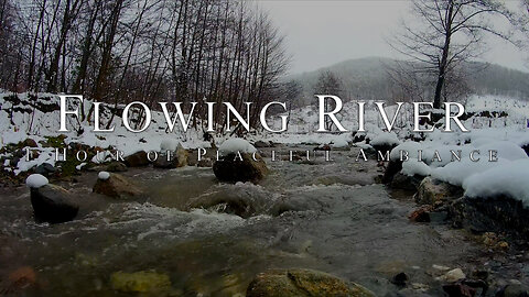Flowing River | Peaceful Ambient ASMR Nature Sounds | HD
