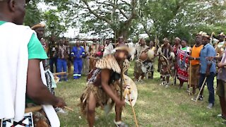 SOUTH AFRICA - Durban - Umthayi Marula Festival (Video) (5z5)