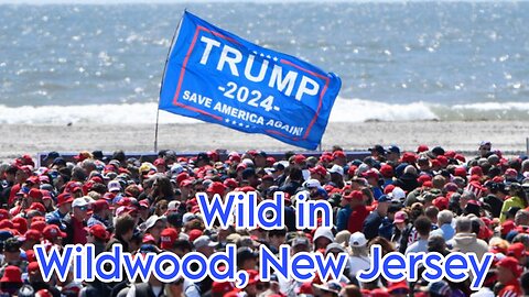 Wild in Wildwood, New Jersey