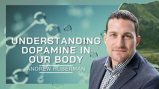Understanding Dopamine In Our Body | Andrew Huberman