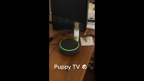 Puppy TV (Episode 1)