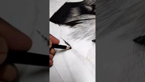 wait till the end...!!( hyperrealism tiger)#shorts