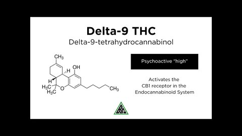 DELTA-9 THC Cannabis Industries Next THREAT!