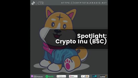 Leicester On The Crypto Inu Token (BSC)