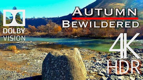Dolby Vision HDR Nature Video - "Autumn Bewidered" - Mindful Visions