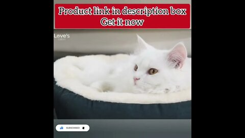 cute cat videos 😹 funny videos 😂224