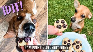 TDIF! Homemade Dog Treats - Paw Print Blueberry Buns