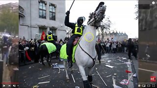 Police Horse Spooks At Black Lives Matter Riot - Do Horses Belong In Riot Areas