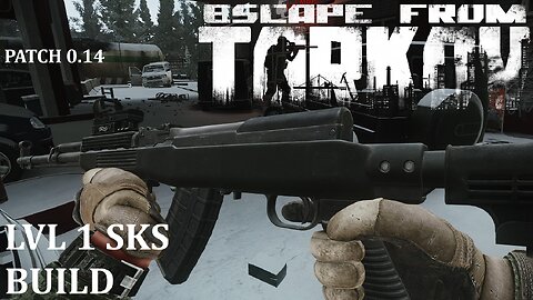 Escape From Tarkov Lvl 1 SKS Build (0.14 Patch)