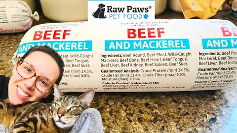Raw Paws Pet Food review (4 cats test it)
