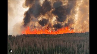 Alberta Wildfires - WH Opportunity?