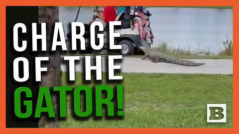 The Charge of the Gator! Giant Crocodilian Rushes Golf Cart