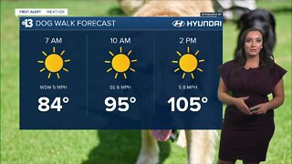 How to keep your pets cool in the Las Vegas heat
