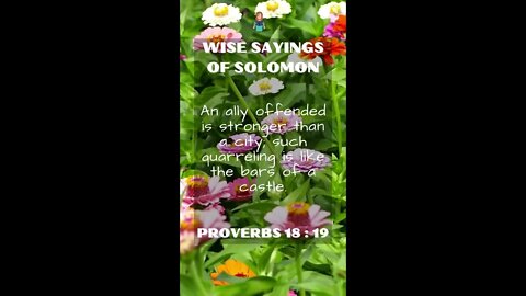 Proverbs 18:19 | NRSV Bible - Wise Sayings of Solomon