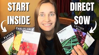 Seed Starting for Beginners (When & Where To Plant Seeds)