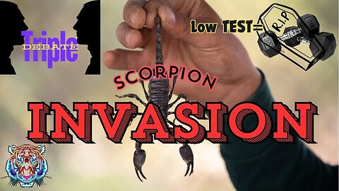 Scorpion Infestation?? Low Test = Death?! Triple Debate!!
