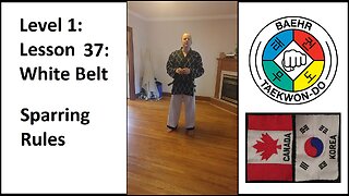 Baehr Taekwondo: 01-37: White Belt - Sparring Rules