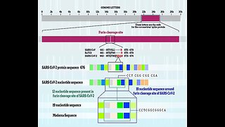 Moderna CEO Admits Possibly they Patented Covid-19 DNA before the Pandemic