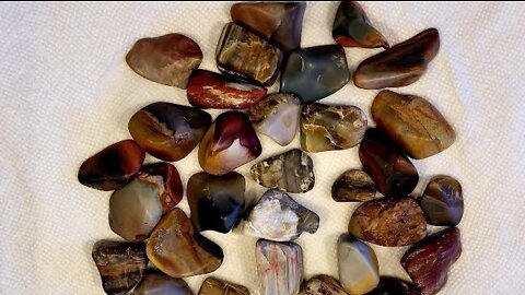 You won't believe how beautiful these petrified wood and various jaspers are.