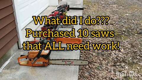 purchasing 10 non-running chainsaws that all need some love