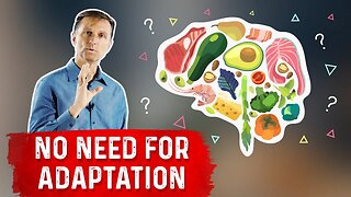 Your Brain DOES NOT Need to Adapt to Ketosis