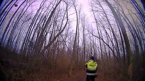 VIDEO: Paraglider gets stuck in tree in Wisconsin