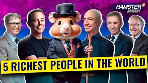 From Elon Musk to Warren Buffet: Who is the richest person in the world? ⚡️ Hamster Academy