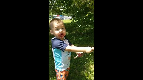 Little Boy denies eating more than two berries