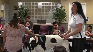 Animals helping Las Vegas children overcome obstacles