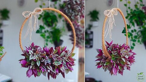 How to Make Hanging Ring Plants Decoration | Hanging Planters | Indoor Hanging Plants//GREEN DECOR