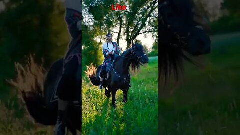 Beautiful animals Horse Lover shorts video 🏇 #shorts #horselover #youtubepets_&_animals