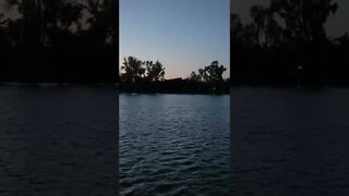 Lodi Lake in the evening