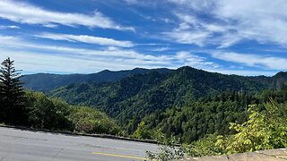 BLUE RIDGE MOUNTAINS AND WILD ELK!