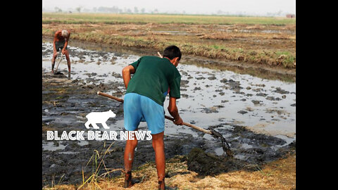 Farmers At The Front Lines Of Climate Change-Ontario Premier Declares Covid "Over"-Brazil Floods