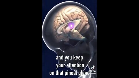 TAKE SLOW DEEP BREATHS TO ACTIVATE🩻👁️💡👁️A RADIO RECEIVER IN THE BRAIN👁️👃👁️👂🧠👀💫