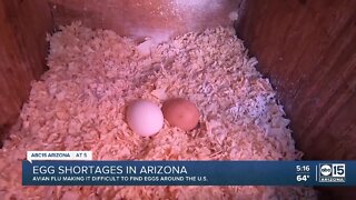 Data: Egg prices up 80% in Arizona