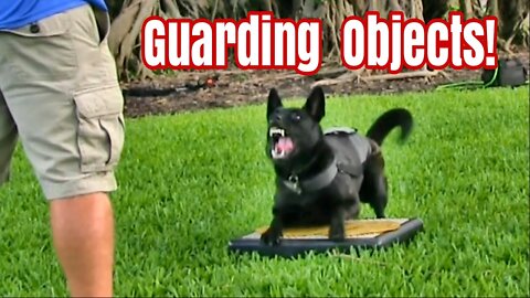 Teaching Dogs to Guard Objects and People