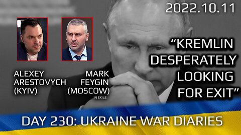 War Day 230: war diaries w/Advisor to Ukraine President, Intel Officer @Alexey Arestovych & #Feygin