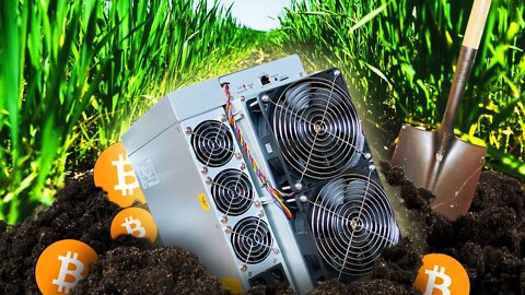 The Way This Bitcoin Farm Works is GENIUS