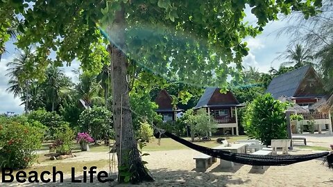[No Copyright Music] Summer Travel Tropical Paradise Background Vlog Music |Beach Life by Waesto
