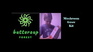 Gardening made easy - How to grow Mushrooms using grow kit