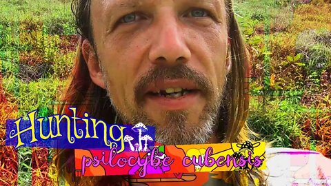 Hunting Psilocybe Cubensis in the Mountains of Ecuador