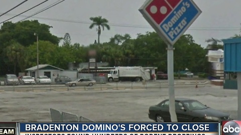 Dirty Dining: Domino's Pizza forced to shut down after 470+ rodent droppings discovered in kitchen