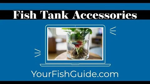 Fish Tank Accessories ~ What Do You Need For A Fish Tank? | Choosing the Right Aquarium