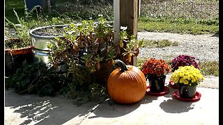 Tower Garden Updates! Porch Door Welcome & Fall Decorating!