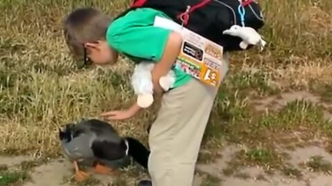 Duck Amazingly Greets Human Friend Everyday After School